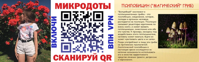 Галлюциногенные грибы мицелий ссылка на мегу как зайти Шали цена наркотик